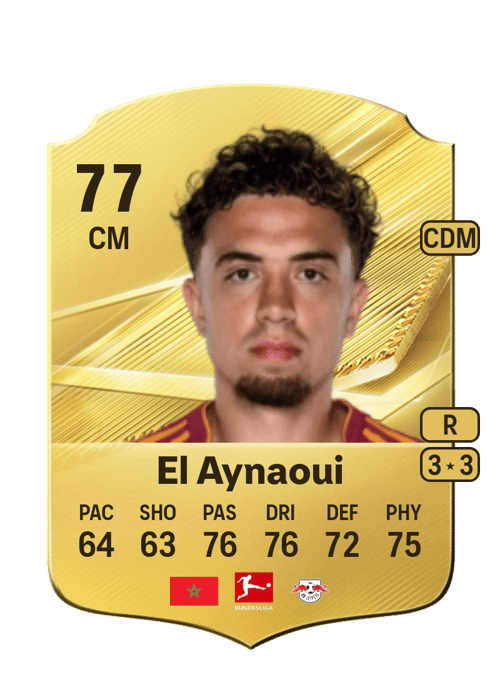 Neil El Aynaoui