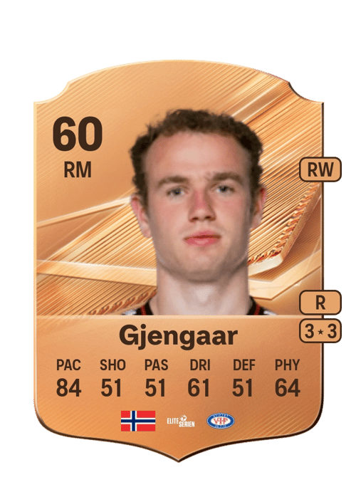 Dennis Gjengaar