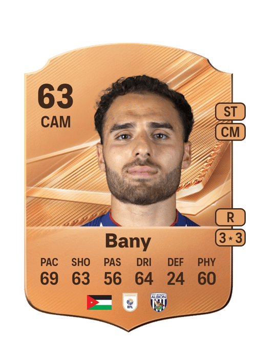Tammer Bany
