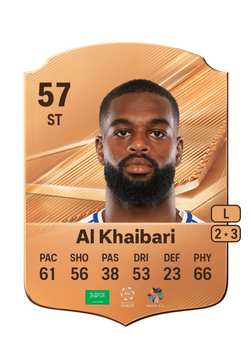 Thamer Al Khaibari