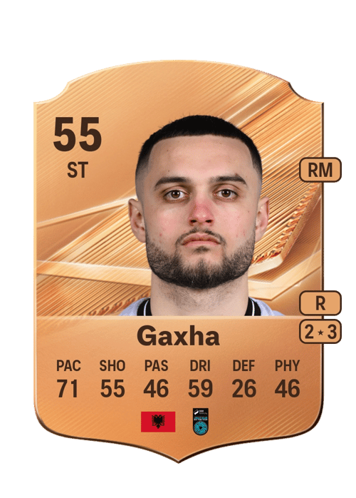 Leonardo Gaxha