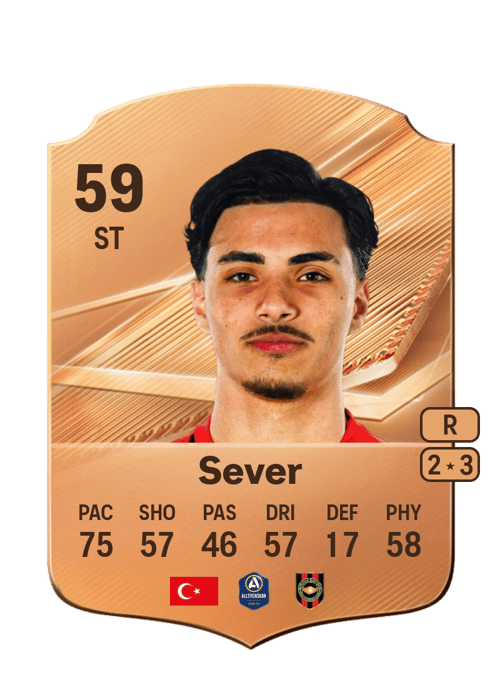 Kamilcan Sever