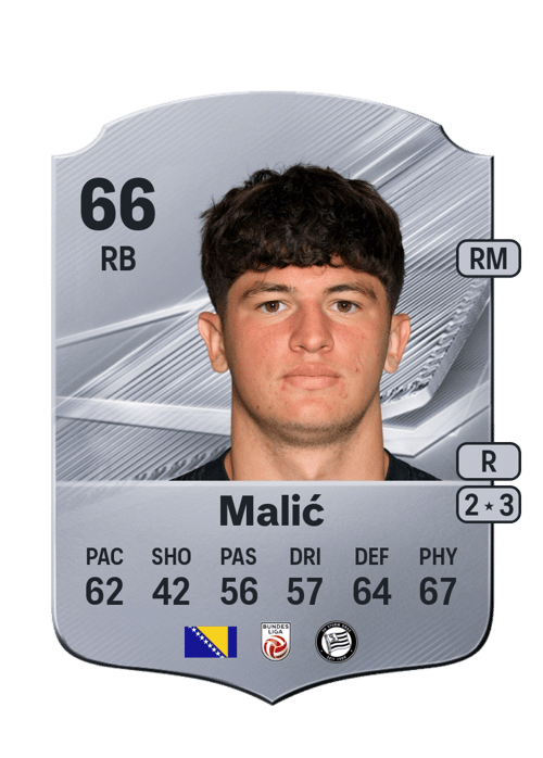 Arjan Malić