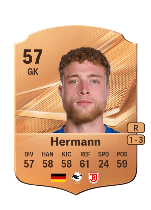 Hannes Hermann