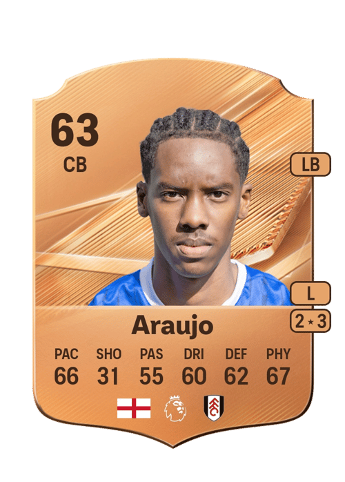 Harvey Araujo