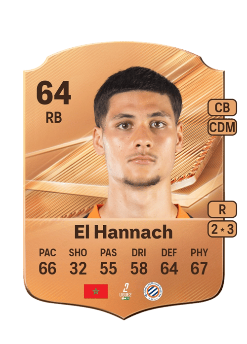 Naoufel El Hannach