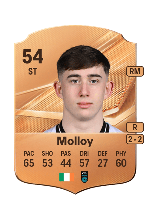 TJ Molloy