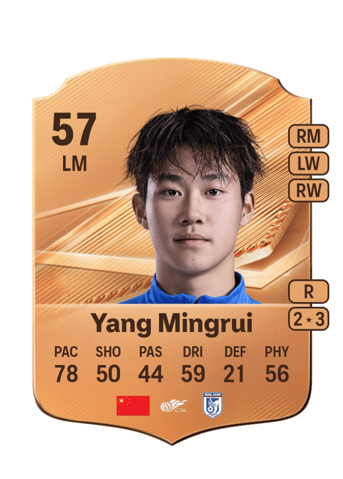 Yang Mingrui