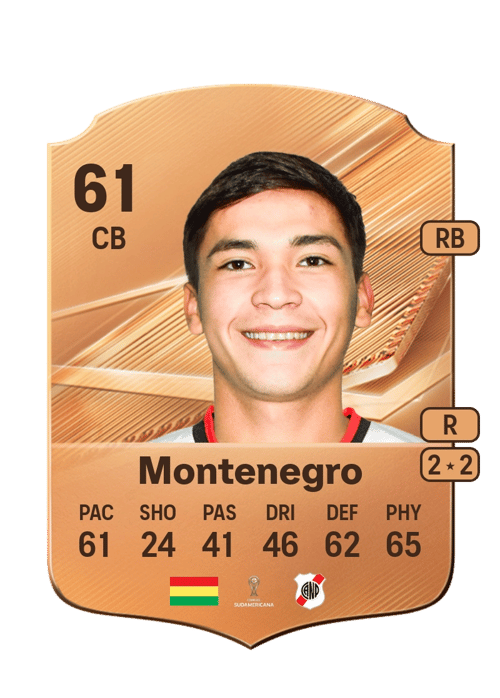 Leonardo Montenegro