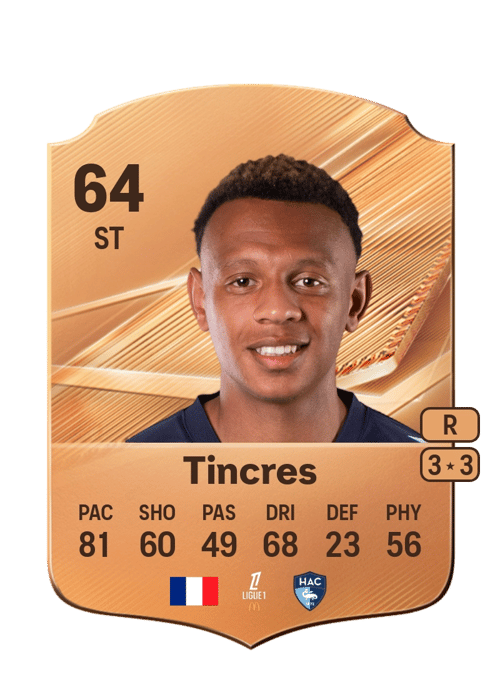 Joan Tincres