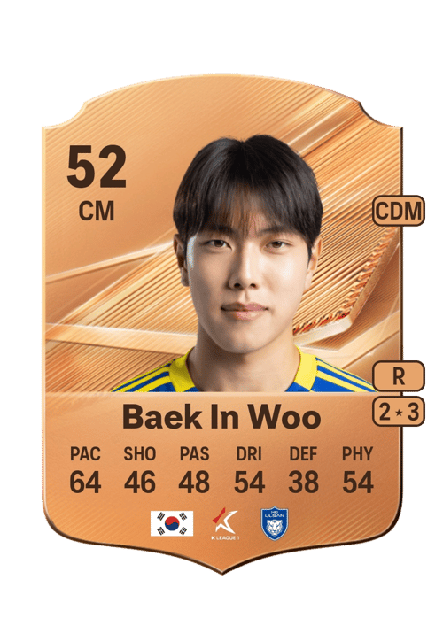 Baek In Woo