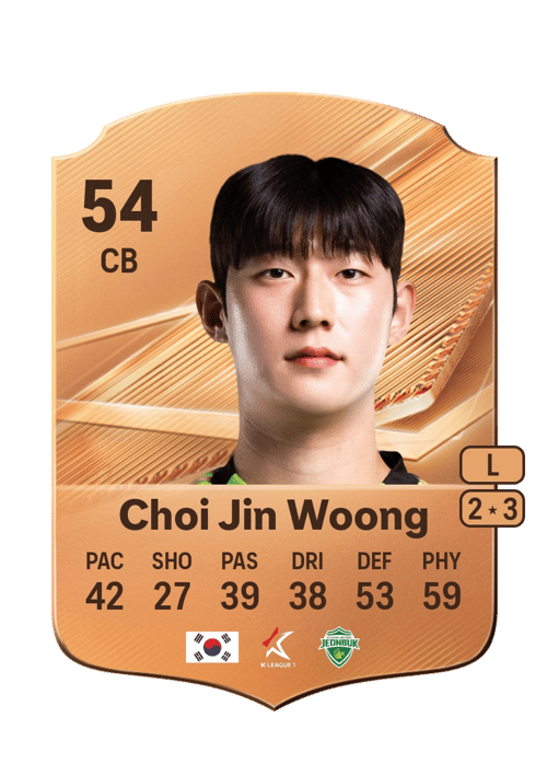 Choi Jin Woong