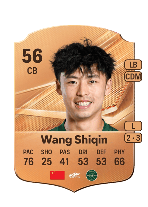 Wang Shiqin