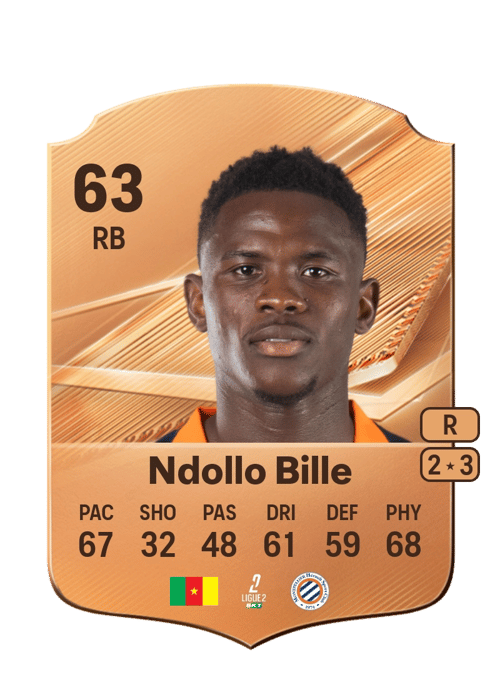 Wilfried Ndollo Bille