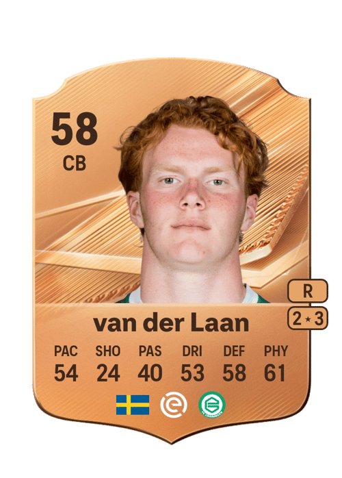 Elvis van der Laan