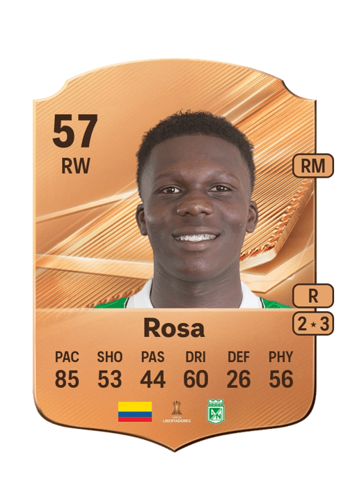 Juan José Rosa
