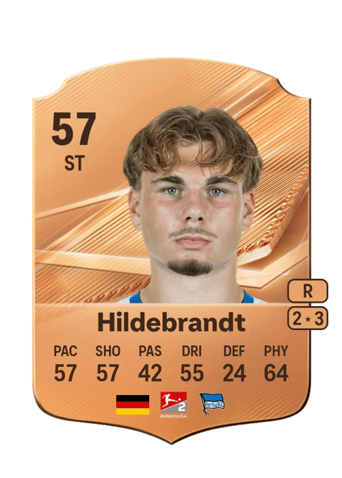 Niklas Hildebrandt