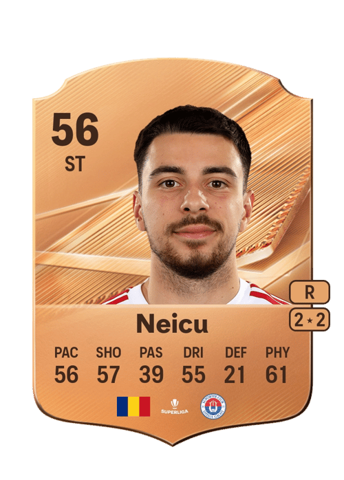 Dan-Cristian Neicu
