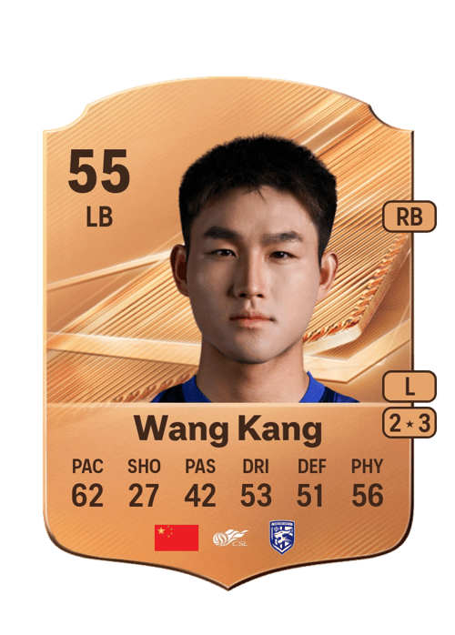 Wang Kang