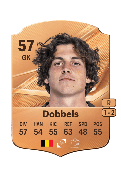 Arnaud Dobbels