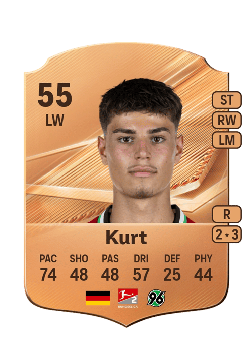 Taycan Kurt
