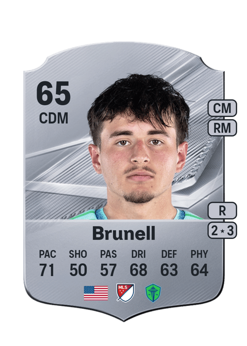 Snyder Brunell