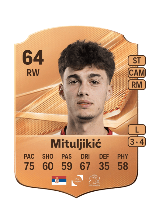 Nikola Mituljikić