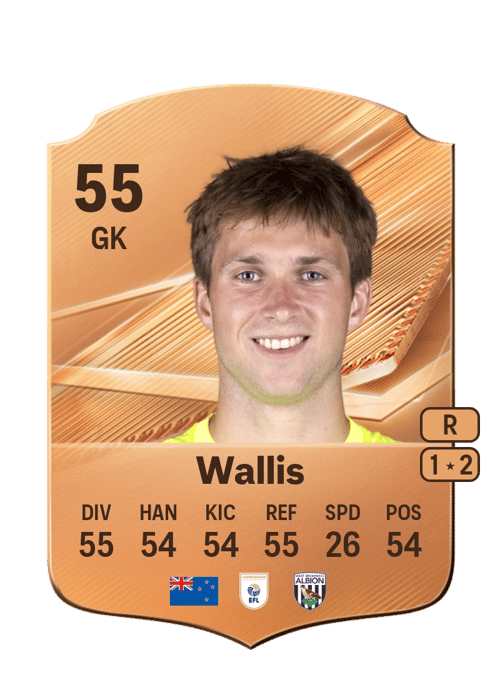 Joe Wallis