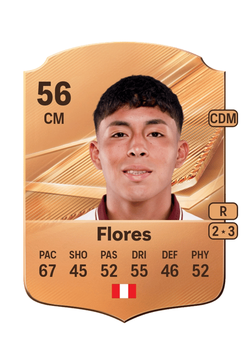 Sebastián Flores