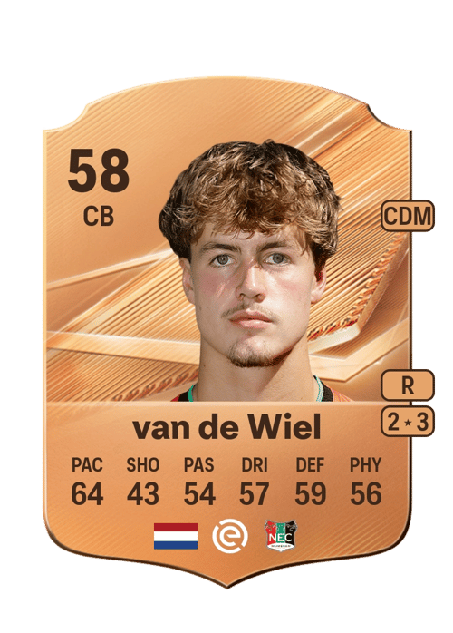 Merijn van de Wiel