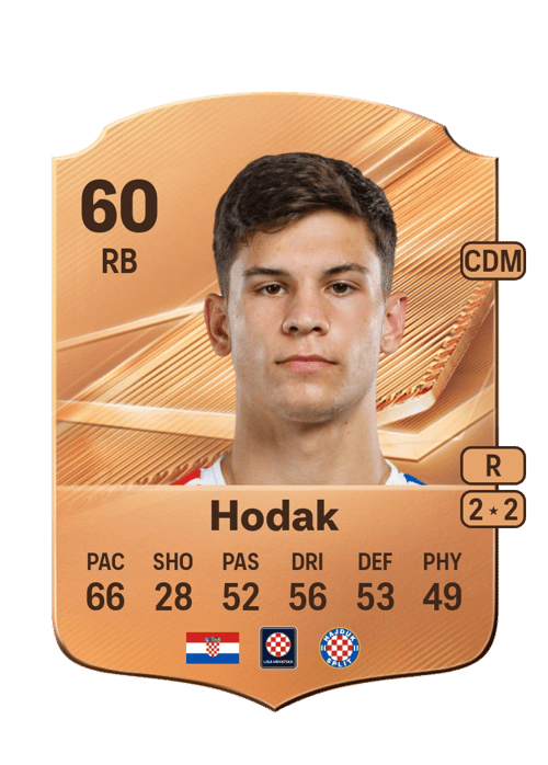 Luka Hodak