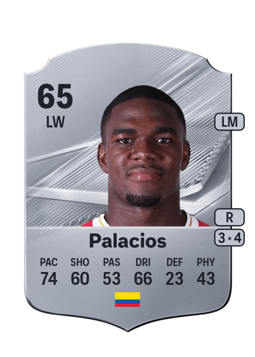 Jhon Tilman Palacios