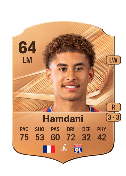 Adil Hamdani
