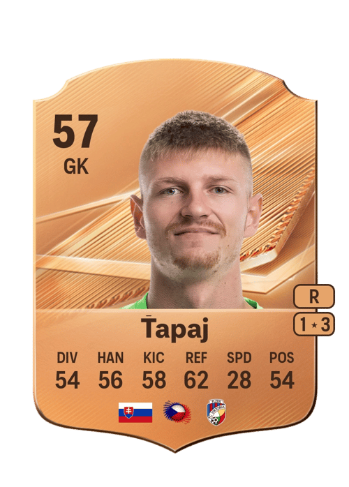 Dominik Ťapaj