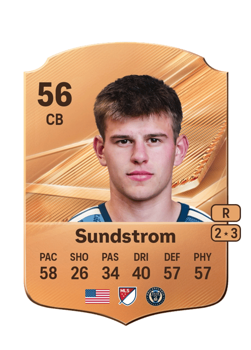 Finn Sundstrom