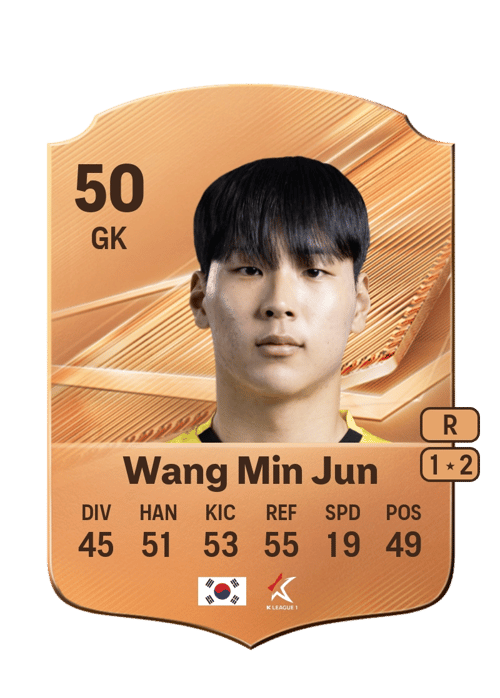 Wang Min Jun