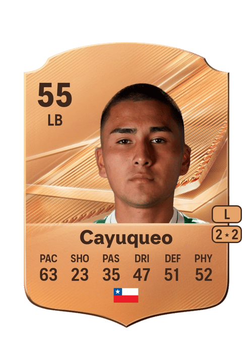 Tomás Cayuqueo