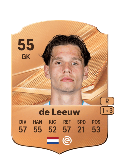 Karst de Leeuw