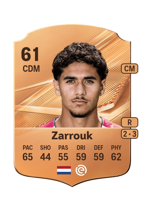 Anass Zarrouk
