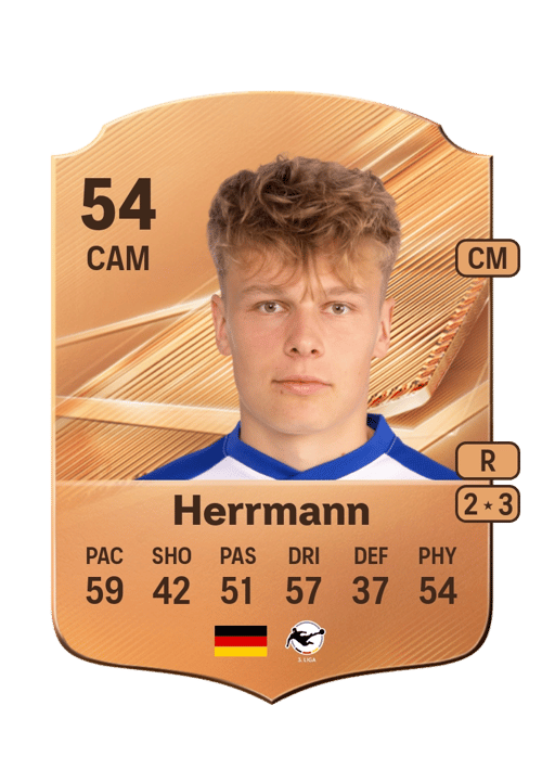 Mika Herrmann