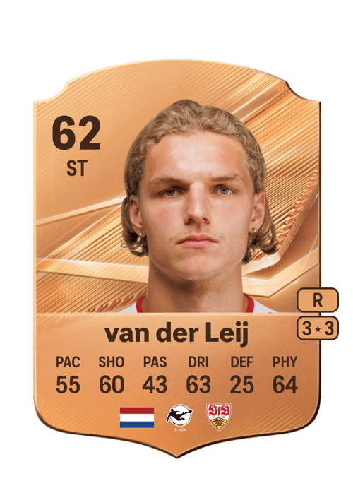Tim van der Leij