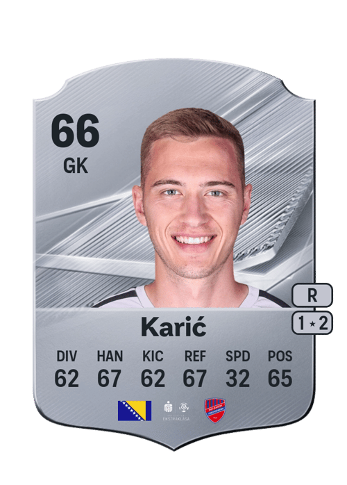 Tarik Karić