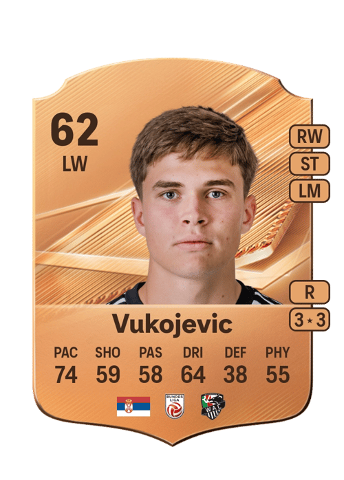 Veljko Vukojevic