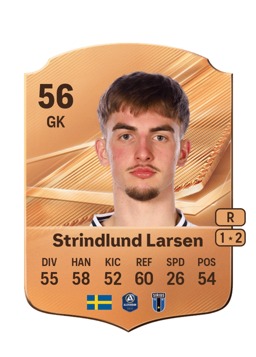 Villy Strindlund Larsen