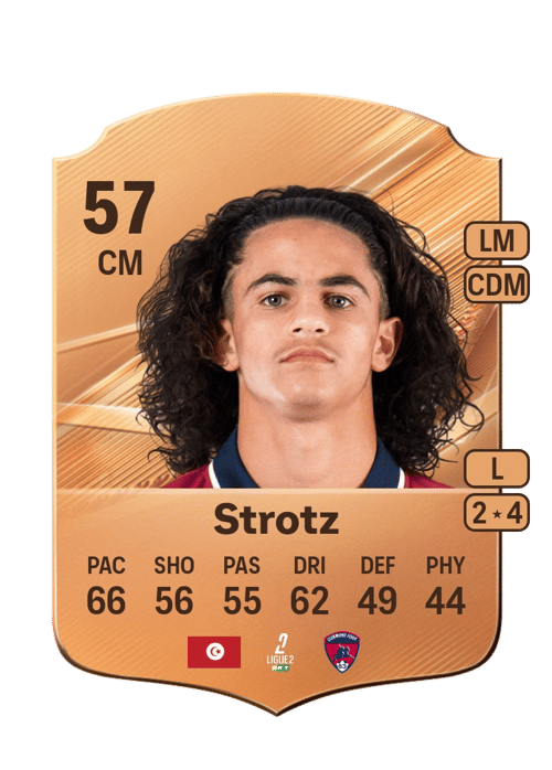 Noam Strotz