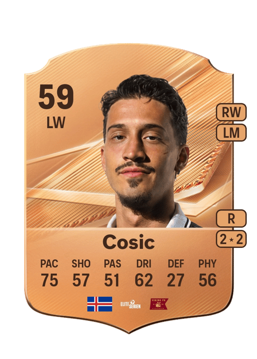 Amin Cosic