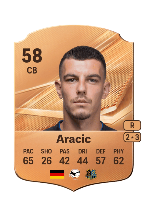 Nikola Aracic