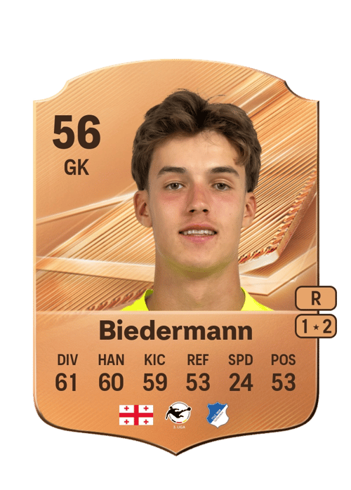 Nico Biedermann
