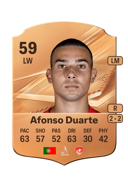 Afonso Duarte