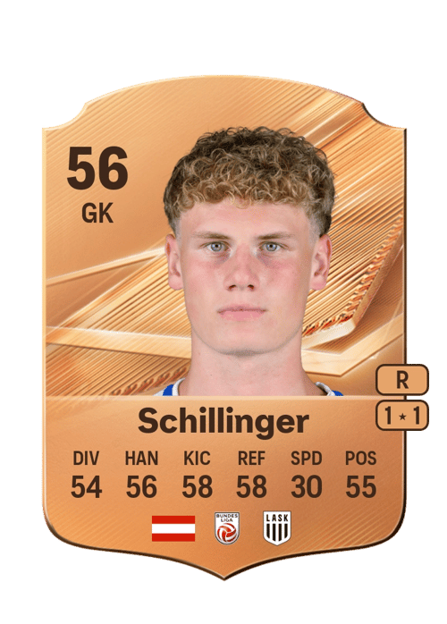Fabian Schillinger